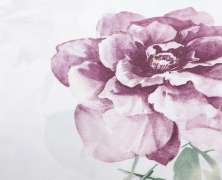 Постельное белье Mirabello Queen Rose евро макси 220х240 перкаль - фото 4