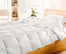 Одеяло с утиным пухом Brinkhaus Blanche 135x200 всесезонное в интернет-магазине Posteleon