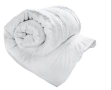 Одеяло шелковое Gingerlily Silk Filled 200х200 теплое в интернет-магазине Posteleon