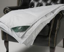 Одеяло пуховое Anna Flaum Fruhling 150х200 всесезонное в интернет-магазине Posteleon