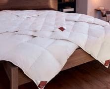Одеяло пуховое Brinkhaus Opal 155x220 ультралёгкое в интернет-магазине Posteleon