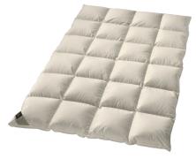 Одеяло пуховое Billerbeck Duchessa 155х220 всесезонное в интернет-магазине Posteleon