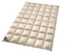 Одеяло пуховое Billerbeck Exquisit 200х220 всесезонное в интернет-магазине Posteleon