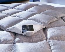 Одеяло с гагачим пуха Brinkhaus Eiderdown 200x200 экстра теплое в интернет-магазине Posteleon
