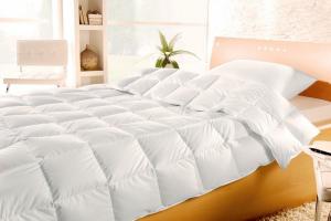Одеяло с утиным пухом Brinkhaus Blanche 220x240 легкое - основновное изображение