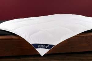 Одеяло пуховое OBB Northern Goose 200x220 легкое - основновное изображение