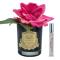 Ароматизированная роза Cote Noire French Rose Magenta black - основновное изображение