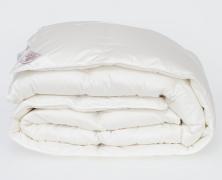 Одеяло пуховое German Grass Luxe Down 200х220 теплое в интернет-магазине Posteleon