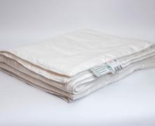 Одеяло с шелковым волокном Nature'S Шелковый путь 220х240 легкое в интернет-магазине Posteleon