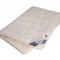 Одеяло лен/хлопок Johann Hefel Bio Linen SD 200x200 лёгкое - основновное изображение