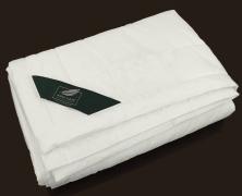 Гипоаллергенное одеяло Anna Flaum Modal 200х220 легкое в интернет-магазине Posteleon