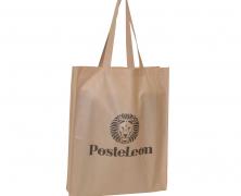 Промо-сумка из спанбонда с логотипом Posteleon 53х40 - основновное изображение