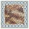 Шейный шёлковый платок Luxury Silk & Wool BigCat 65х65 см - основновное изображение