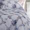 Постельное белье Blumarine Clizia Azzurro евро+ 200х250 сатин хлопок - основновное изображение