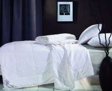 Одеяло шёлковое Asabella CS-3Z 200x220 тёплое в интернет-магазине Posteleon