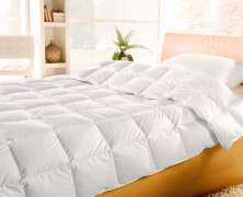 Одеяло с утиным пухом Brinkhaus Blanche 200x200 легкое в интернет-магазине Posteleon