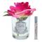 Ароматизированная роза Cote Noire French Rose Magenta - основновное изображение