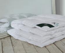 Одеяло пуховое Anna Flaum Perle 150х200 с бортом, теплое - основновное изображение