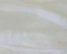 Шелк Mulberry Posteleon Perfect Silk 150х200, 1000 г - фото 2