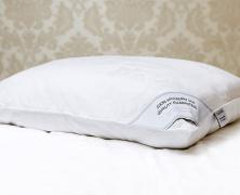 Подушка шелковая Luxe Dream Grand Silk 50х70 средняя (14 см) в интернет-магазине Posteleon