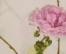 Постельное белье Mirabello Scented Rose евро макси 220х240 перкаль - фото 2