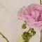 Постельное белье Mirabello Scented Rose евро макси 220х240 перкаль - фото 2