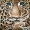 Наволочка для валика Elegante Gepard Pair 40х15 хлопок мако-сатин - фото 1