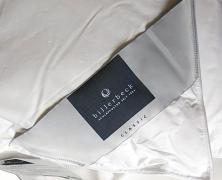 Одеяло пуховое Billerbeck Colina 155х220 легкое - фото 2