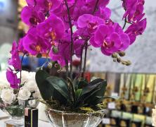Ароматизированный букет Cote Noire Centerpiece Tall White Orchids - фото 2