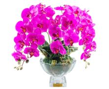 Ароматизированный букет Cote Noire Centerpiece Tall Purple Orchids - основновное изображение