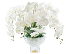 Ароматизированный букет Cote Noire Centerpiece Tall White Orchids - основновное изображение