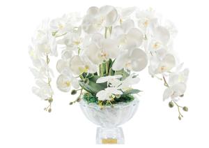 Ароматизированный букет Cote Noire Centerpiece Tall White Orchids - основновное изображение